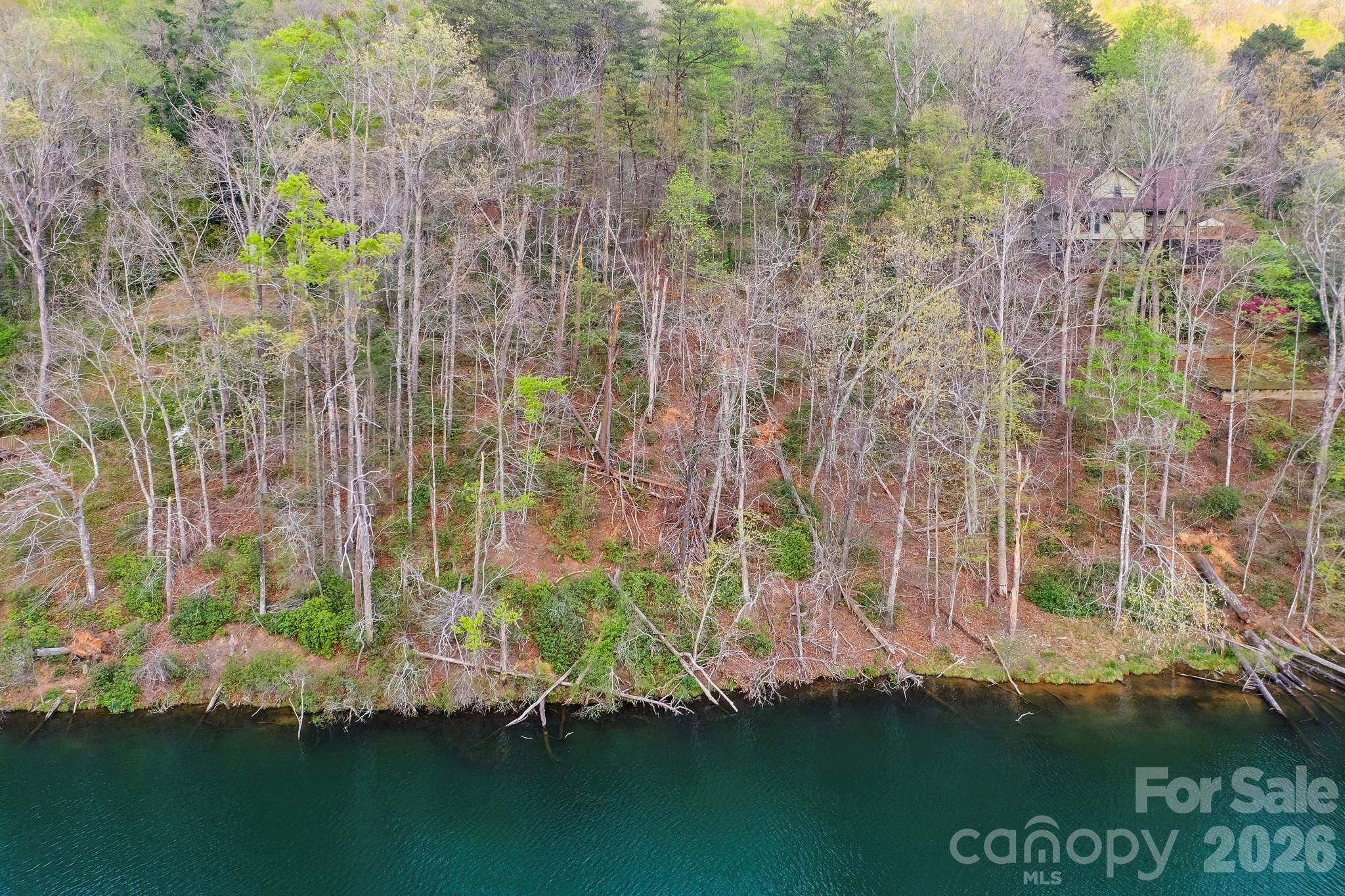 0000 Buffalo Creek RD, Lake Lure, NC 28746
