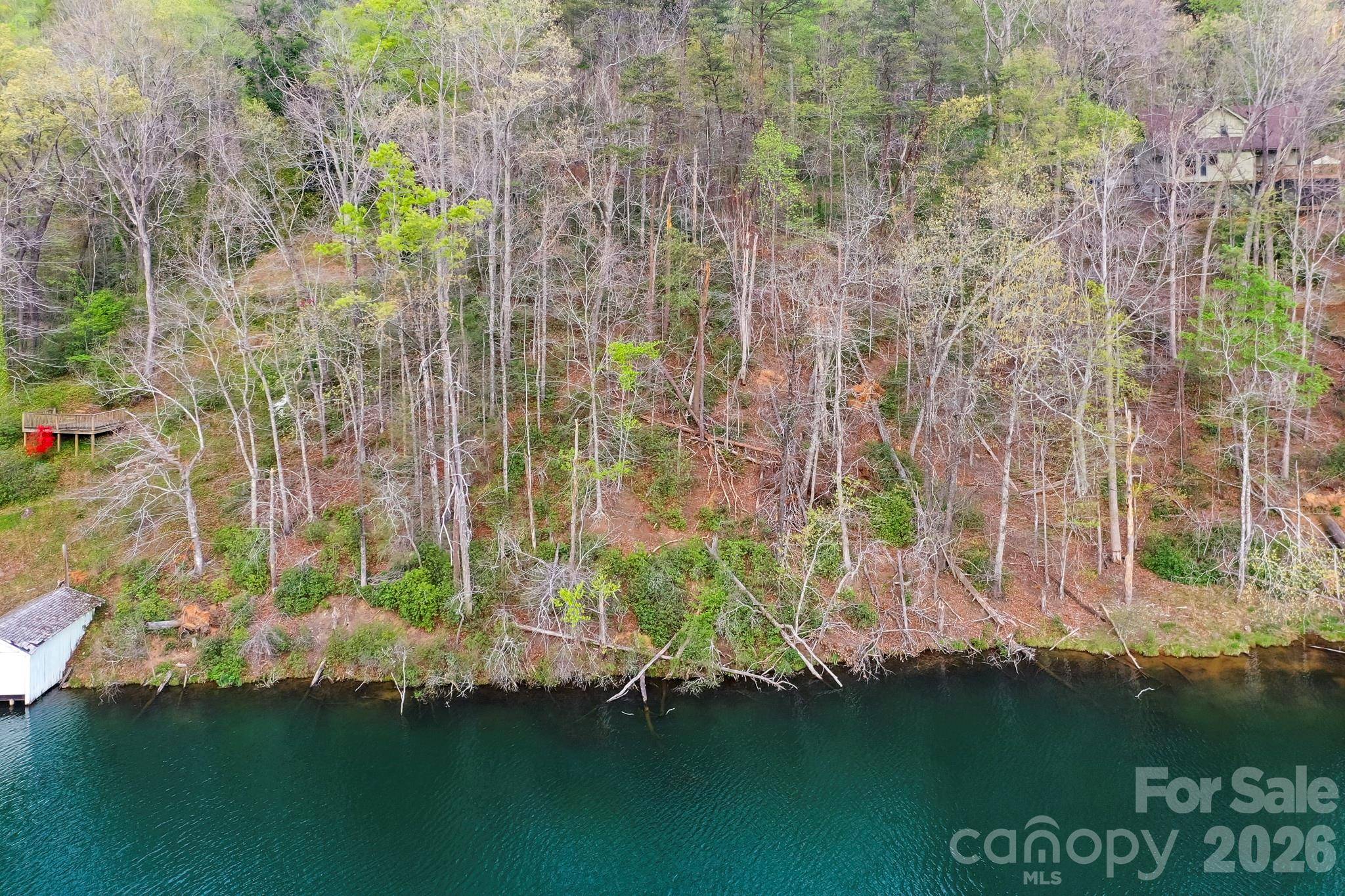 0000 Buffalo Creek RD, Lake Lure, NC 28746