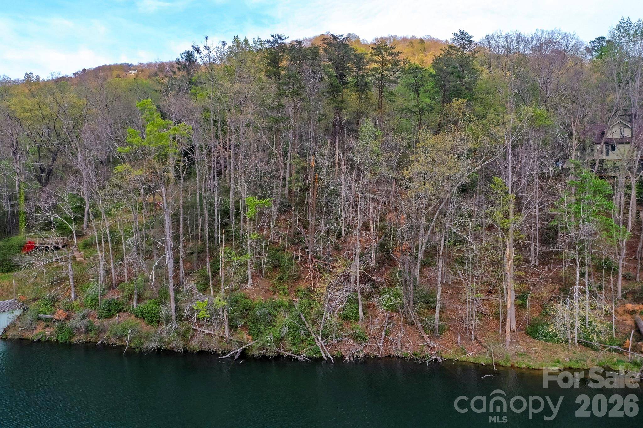 0000 Buffalo Creek RD, Lake Lure, NC 28746