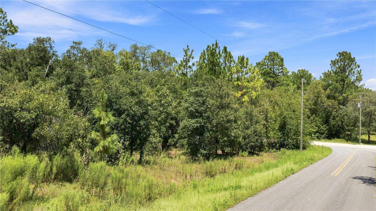 Lot 14 SW 81 ST. & SW 137TH CT., Dunnellon, FL 34432