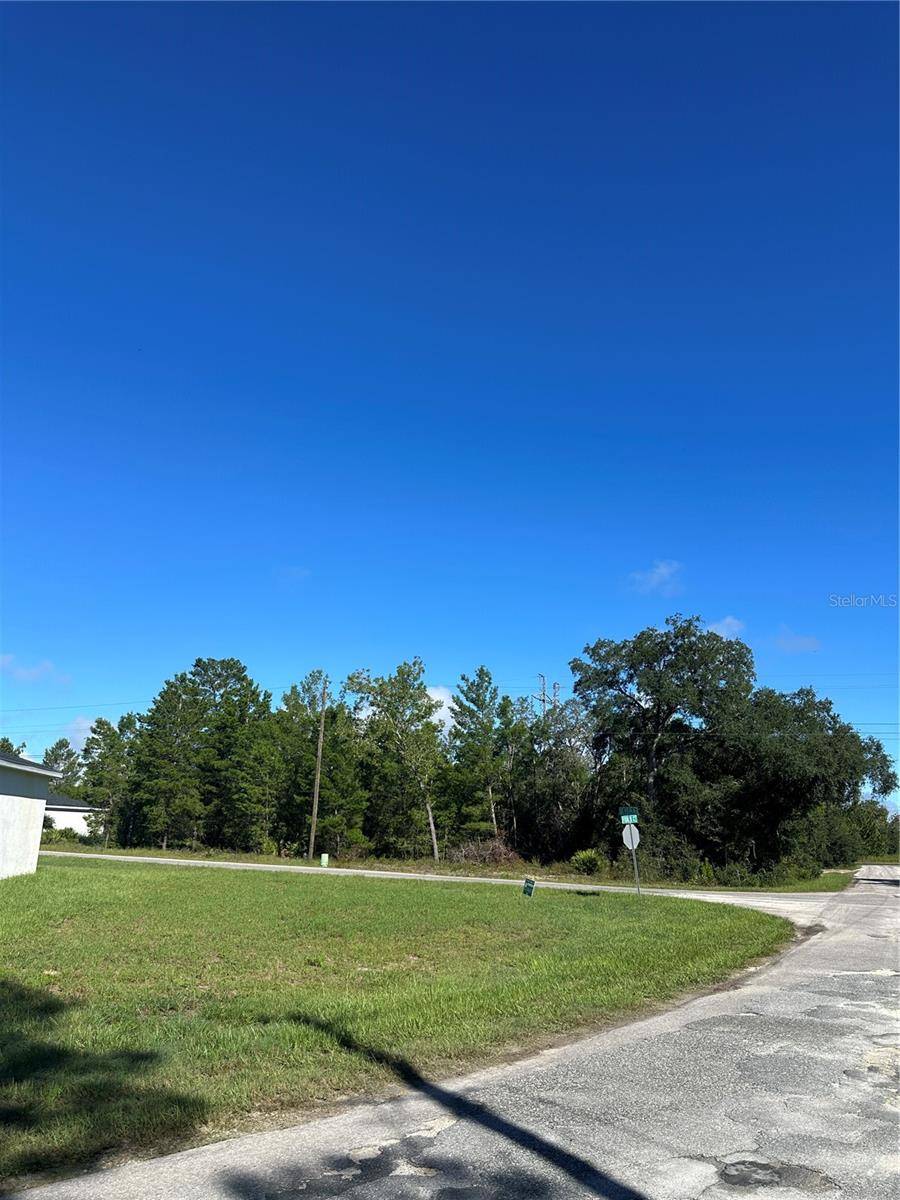 14 FISHER CT, Ocklawaha, FL 32179