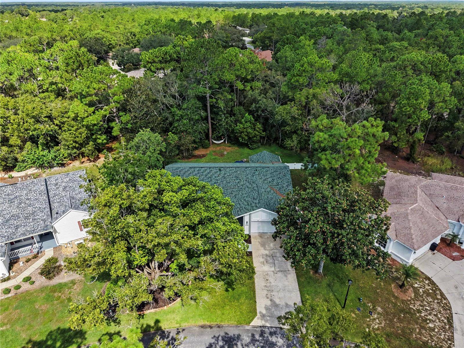 10 COLUBRINA CT, Homosassa, FL 34446