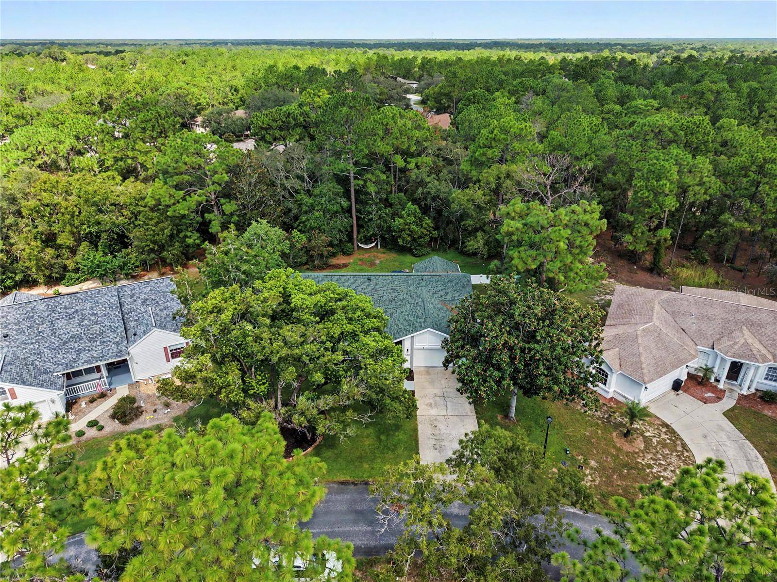 10 COLUBRINA CT, Homosassa, FL 34446