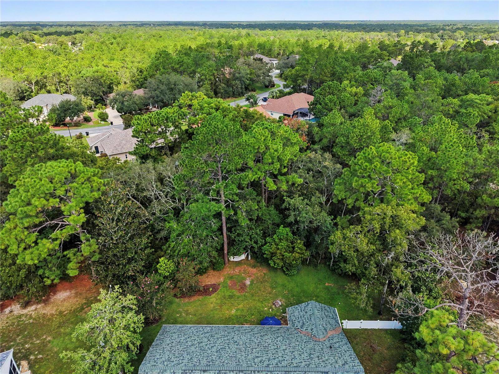 10 COLUBRINA CT, Homosassa, FL 34446
