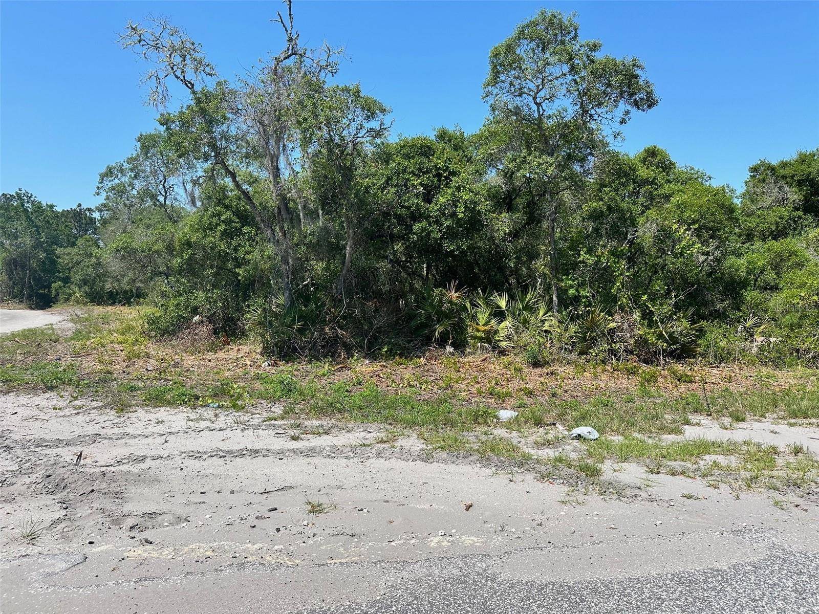TBD FISHER WAY, Ocklawaha, FL 32179