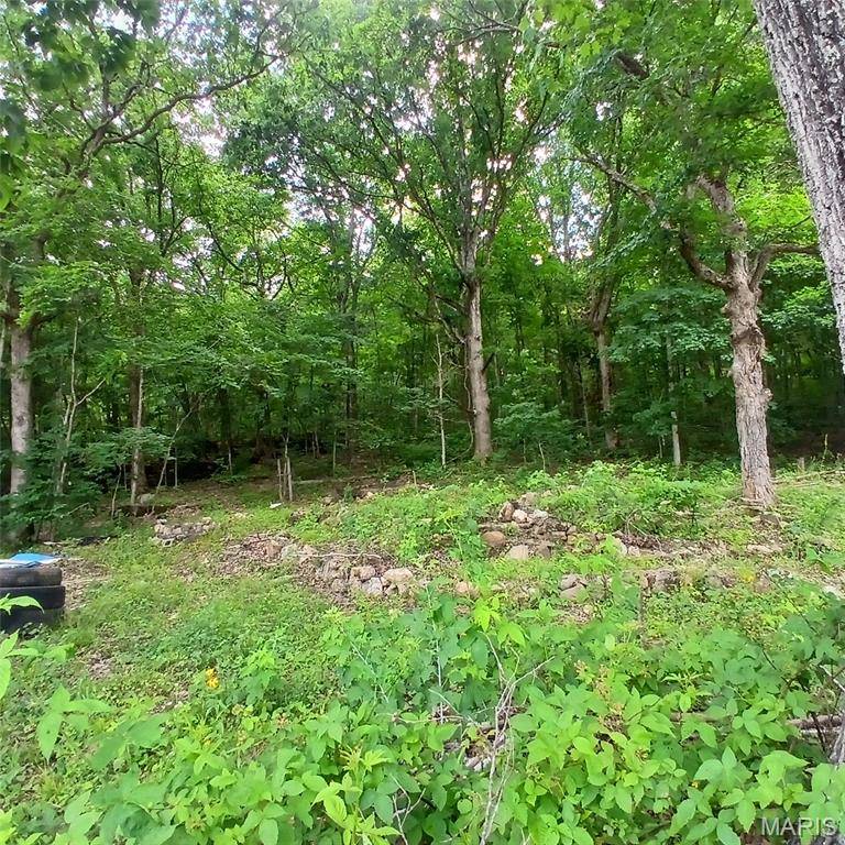 14773 Highway E, Arcadia, MO 63621