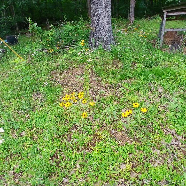 14773 Highway E, Arcadia, MO 63621