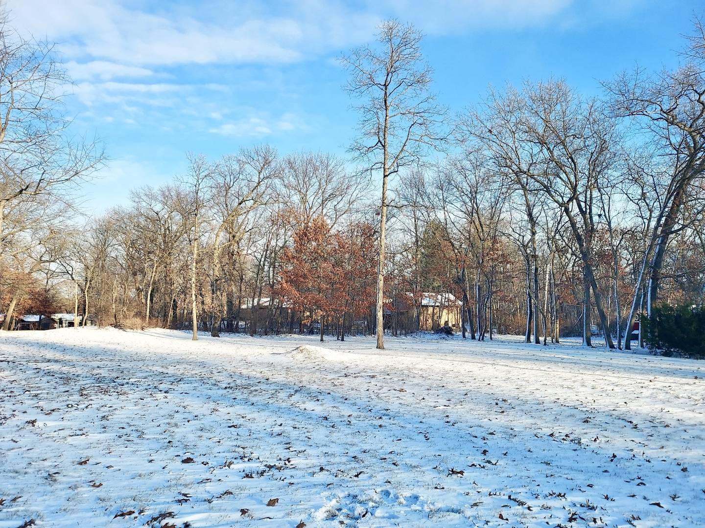 Block 3 Lot 1 SHOREWOOD DR, St. Anne, IL 60964