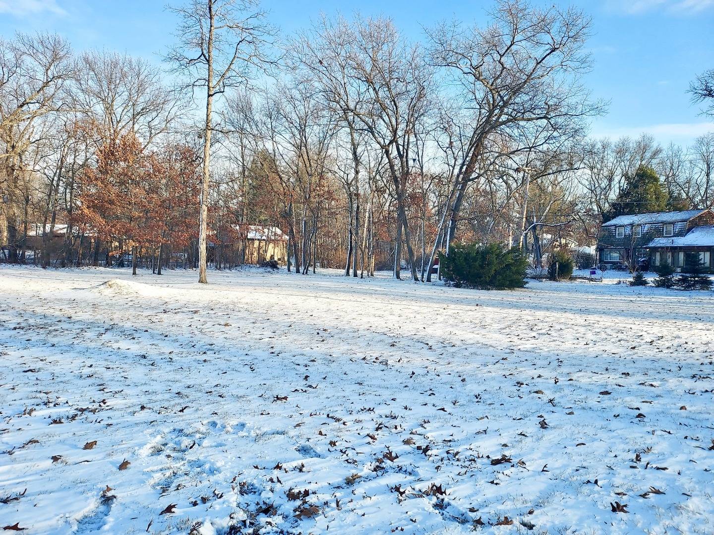Block 3 Lot 1 SHOREWOOD DR, St. Anne, IL 60964