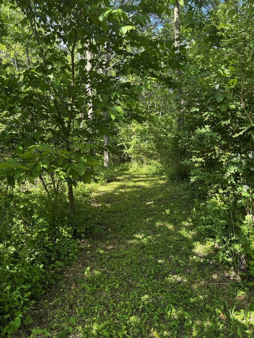21177 N Valley RD, Kildeer, IL 60047