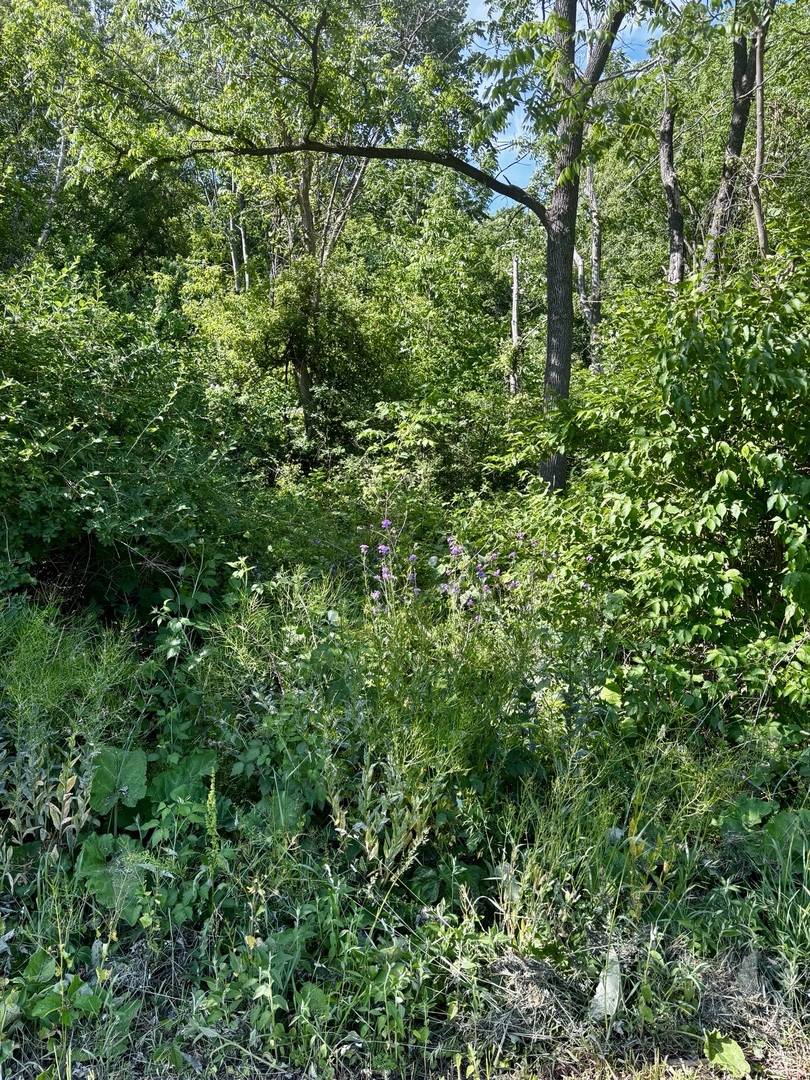 21177 N Valley RD, Kildeer, IL 60047