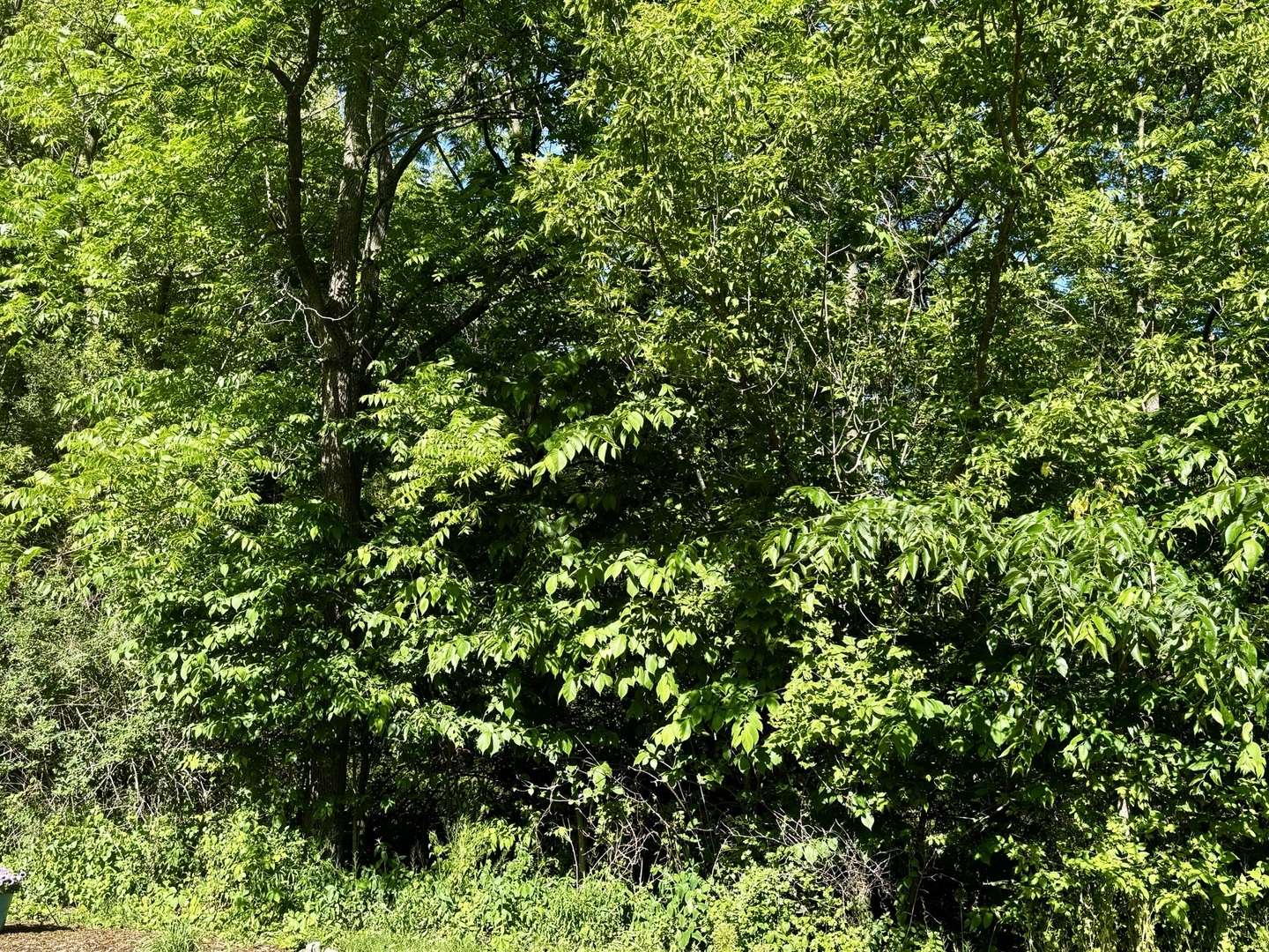 21177 N Valley RD, Kildeer, IL 60047