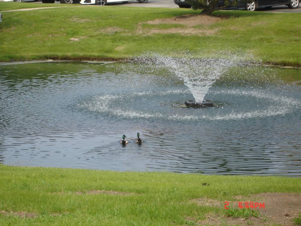 708 N Briar Hill LN #2, Addison, IL 60101