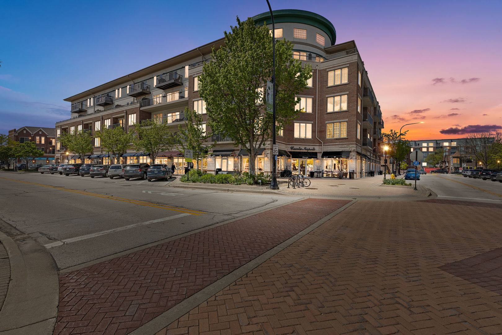 100 S Emerson ST #205, Mount Prospect, IL 60056