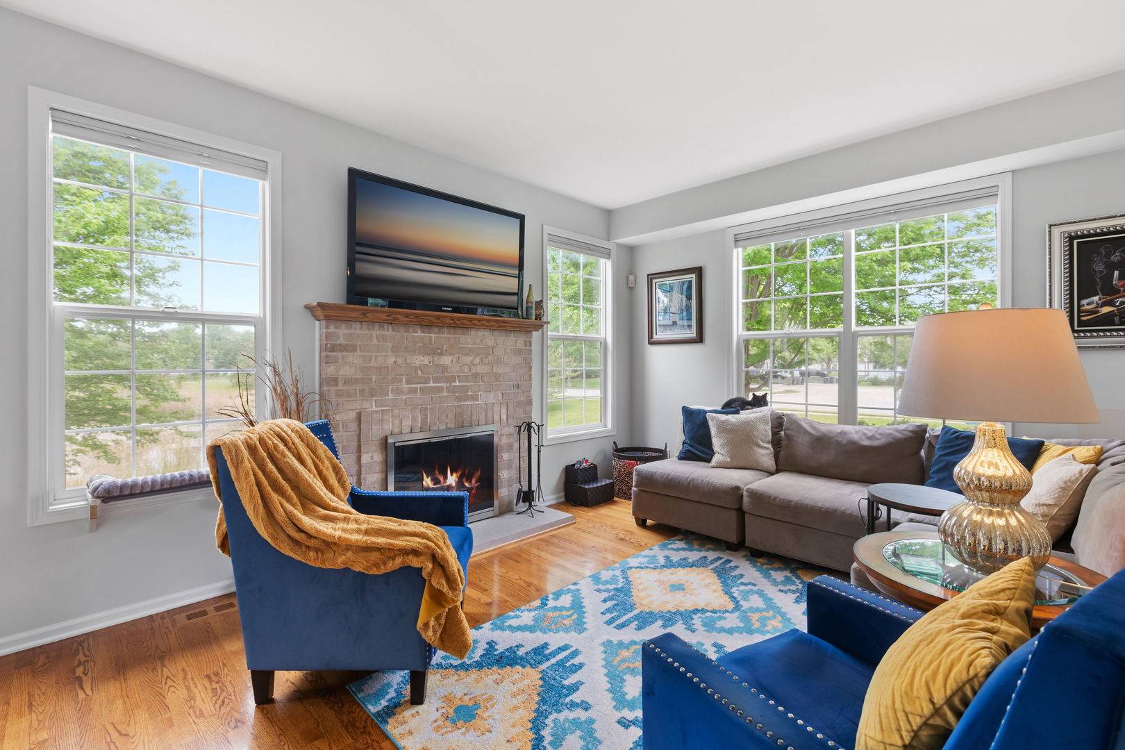 1116 Loganbury CT, Elgin, IL 60120