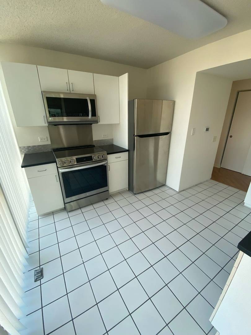 3120 S Indiana AVE #302, Chicago, IL 60616