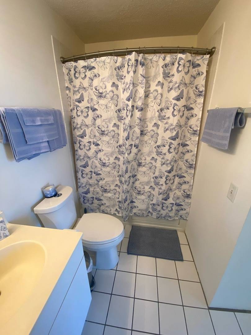 3120 S Indiana AVE #302, Chicago, IL 60616