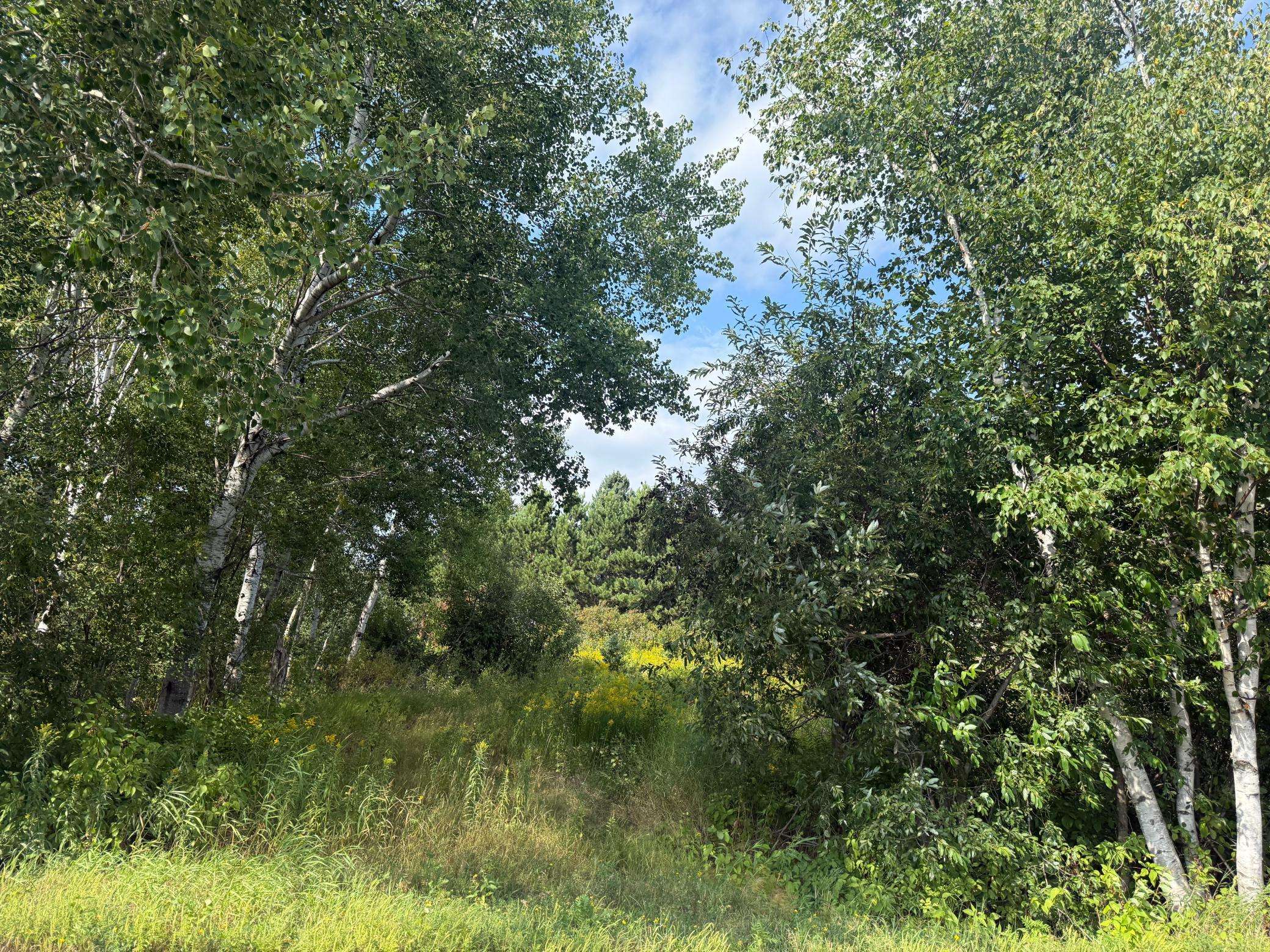 5 Evelyn ST, Esko, MN 55733