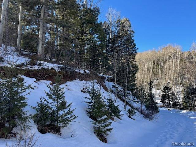 Lot 5252 Scott RD, Fort Garland, CO 81133