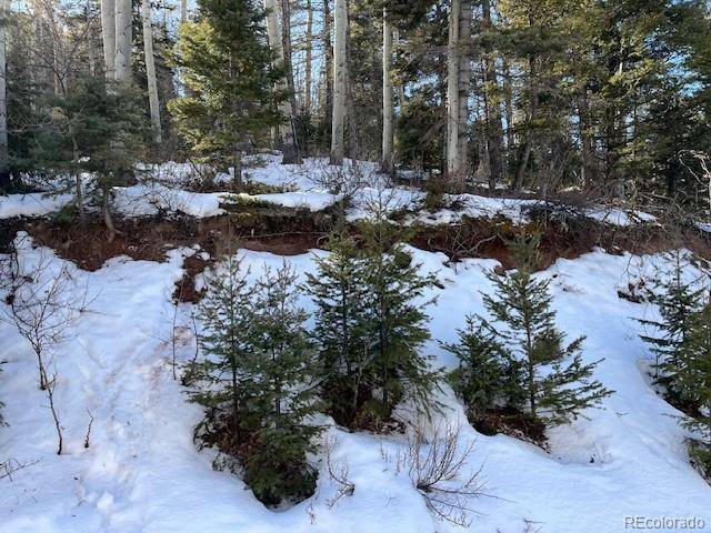 Lot 5252 Scott RD, Fort Garland, CO 81133