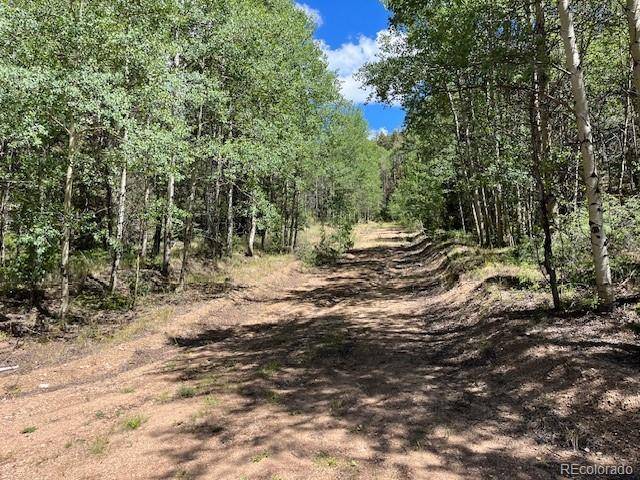 Lot 5655 Highlander RD, Fort Garland, CO 81133