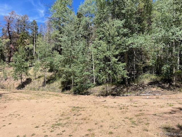 Lot 5655 Highlander RD, Fort Garland, CO 81133