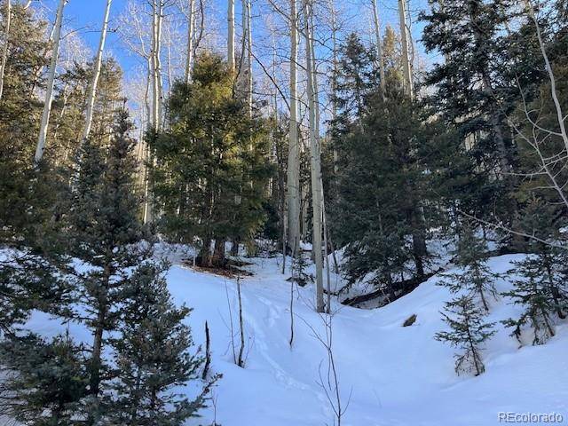 Lot 5339 Howard RD, Fort Garland, CO 81133