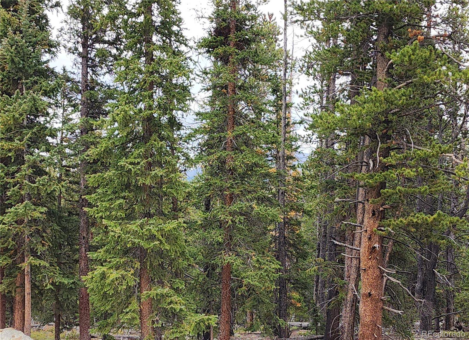 806 Bobcat LN, Fairplay, CO 80440