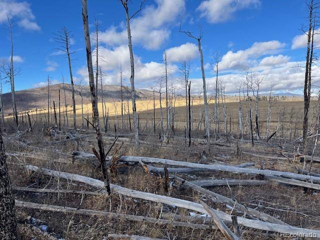 Lot 2397 Petito DR, Fort Garland, CO 81133
