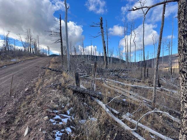 Lot 2397 Petito DR, Fort Garland, CO 81133