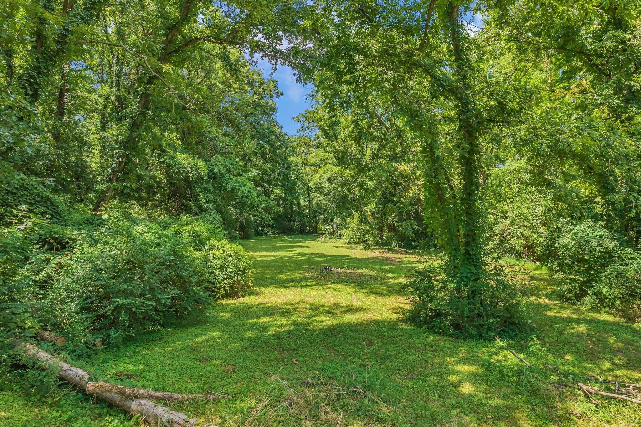 1008 Downey Dr, Nashville, TN 37205