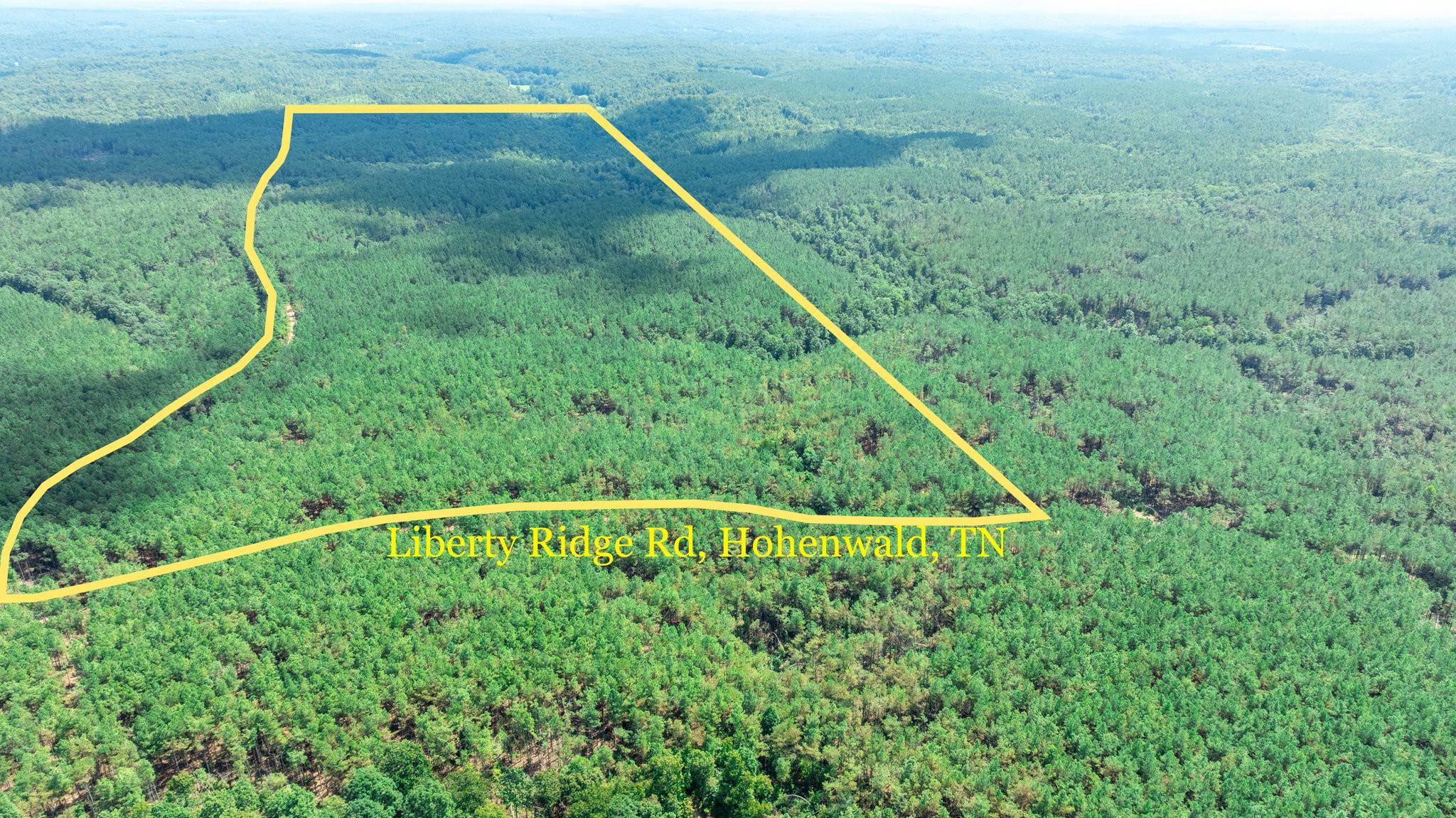 0 Liberty Ridge Rd, Hohenwald, TN 38462