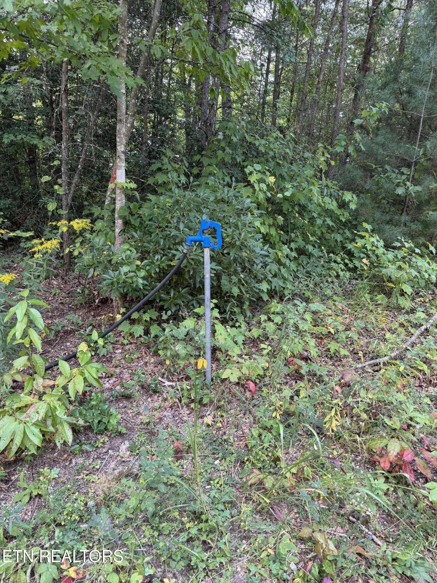 837 Bear Hollow Rd, Oneida, TN 37841