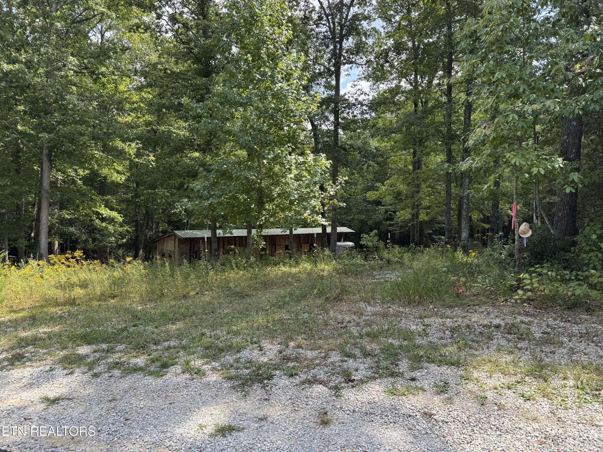 837 Bear Hollow Rd, Oneida, TN 37841
