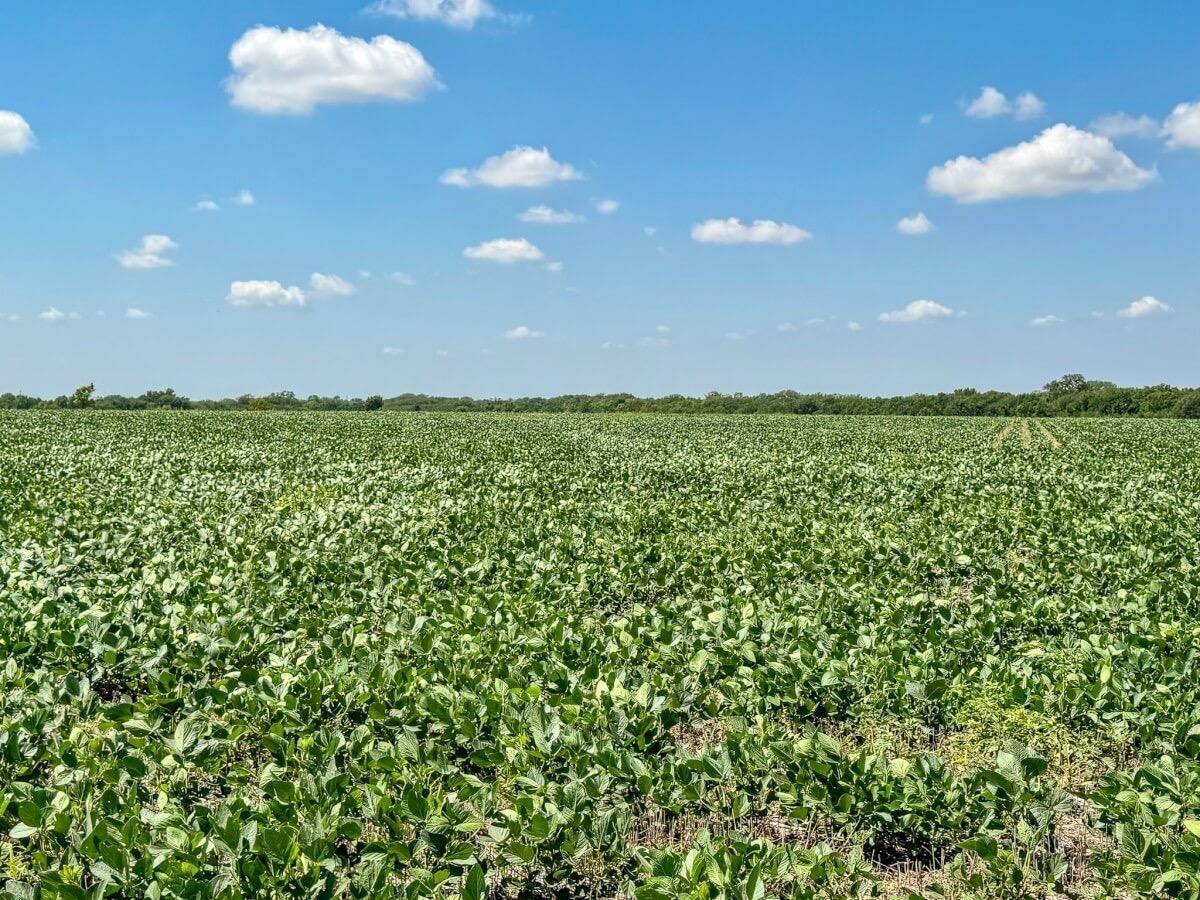 8547 SE 20TH ST, Rosalia, KS 67132