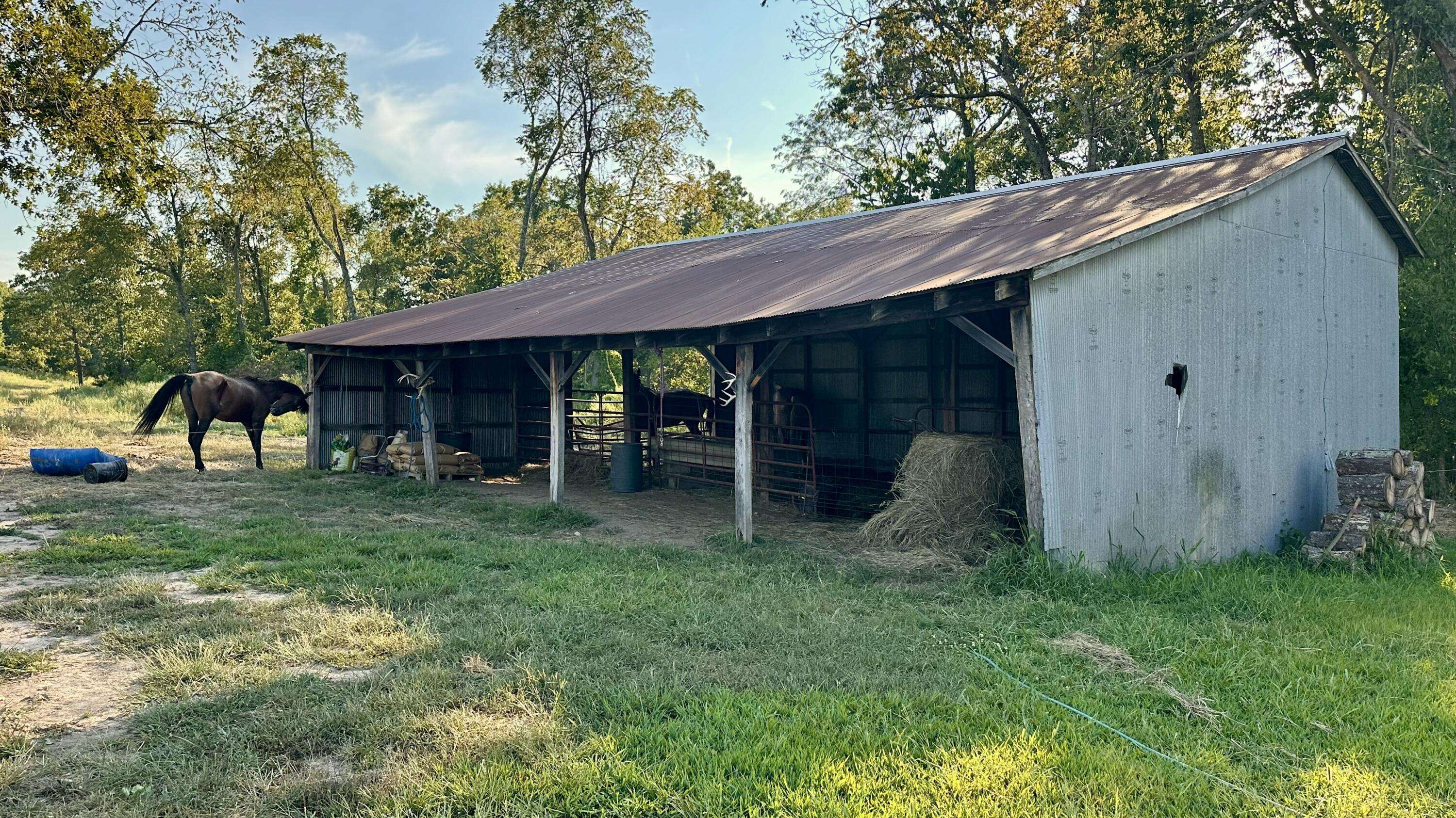 8301 Creek RD, Hartville, MO 65667