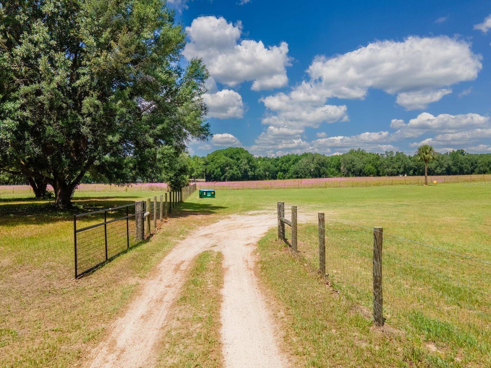 4381 NE 105TH PL, Anthony, FL 32617