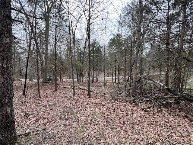 Lot 1234 Indian Camp DR, Goreville, IL 62939