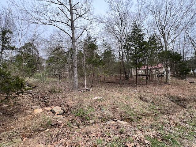 Lot 1234 Indian Camp DR, Goreville, IL 62939