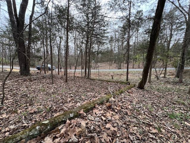 Lot 1234 Indian Camp DR, Goreville, IL 62939