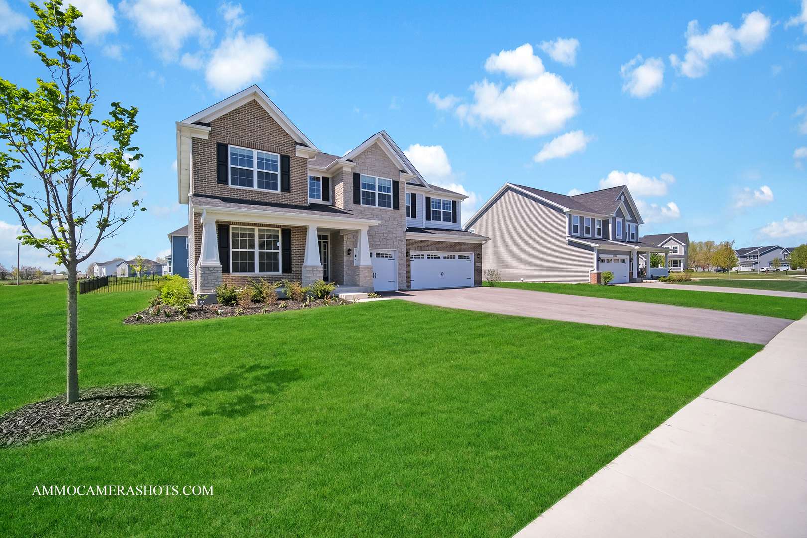 12504 S Cherry Blossom BLVD, Plainfield, IL 60585