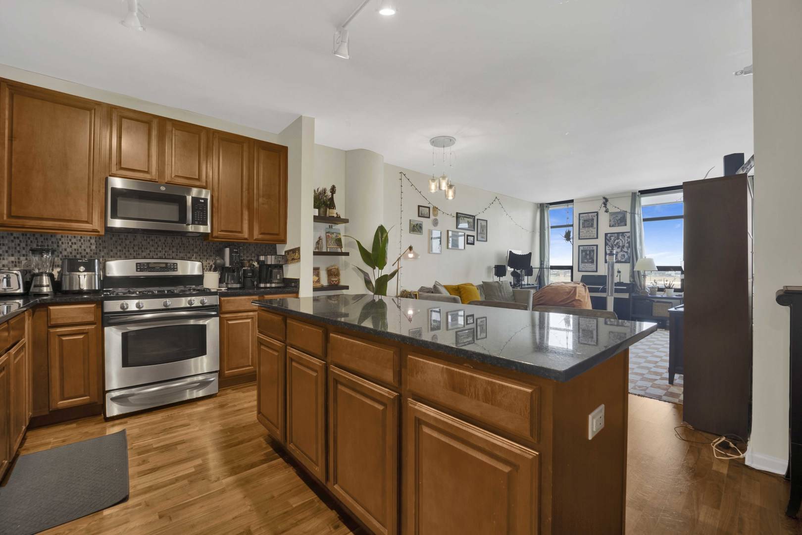 1255 S State ST #1008, Chicago, IL 60605