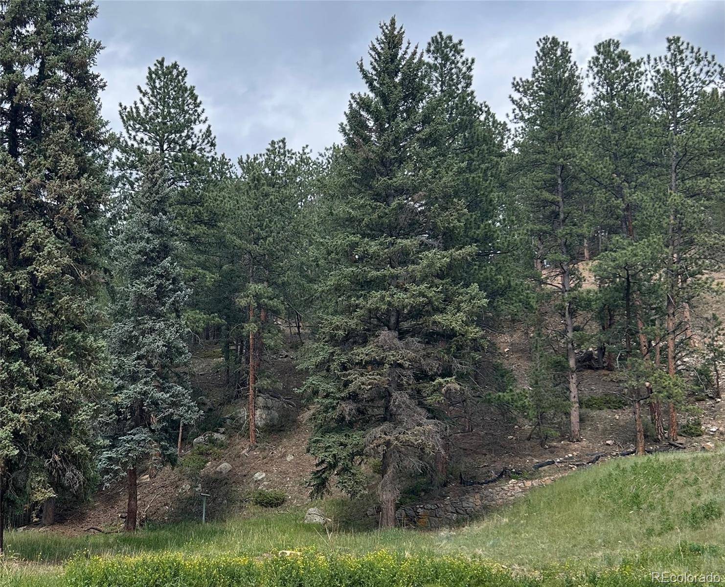 5190 County Road 73, Evergreen, CO 80439
