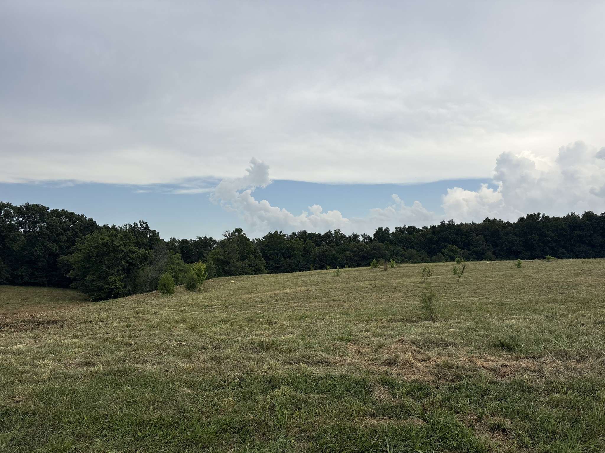 210 Nubia Rd, Westmoreland, TN 37186