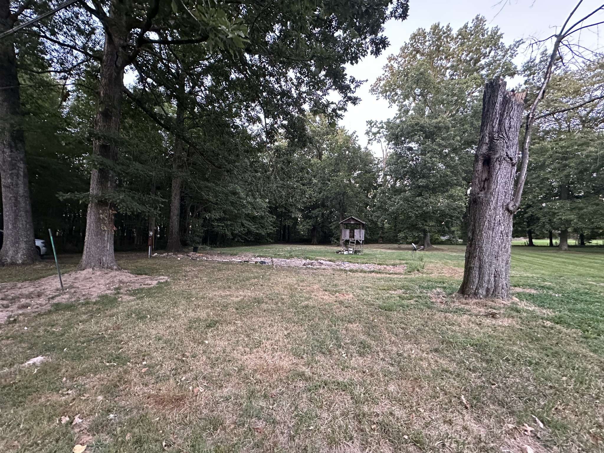 113 Morningside Dr, Portland, TN 37148