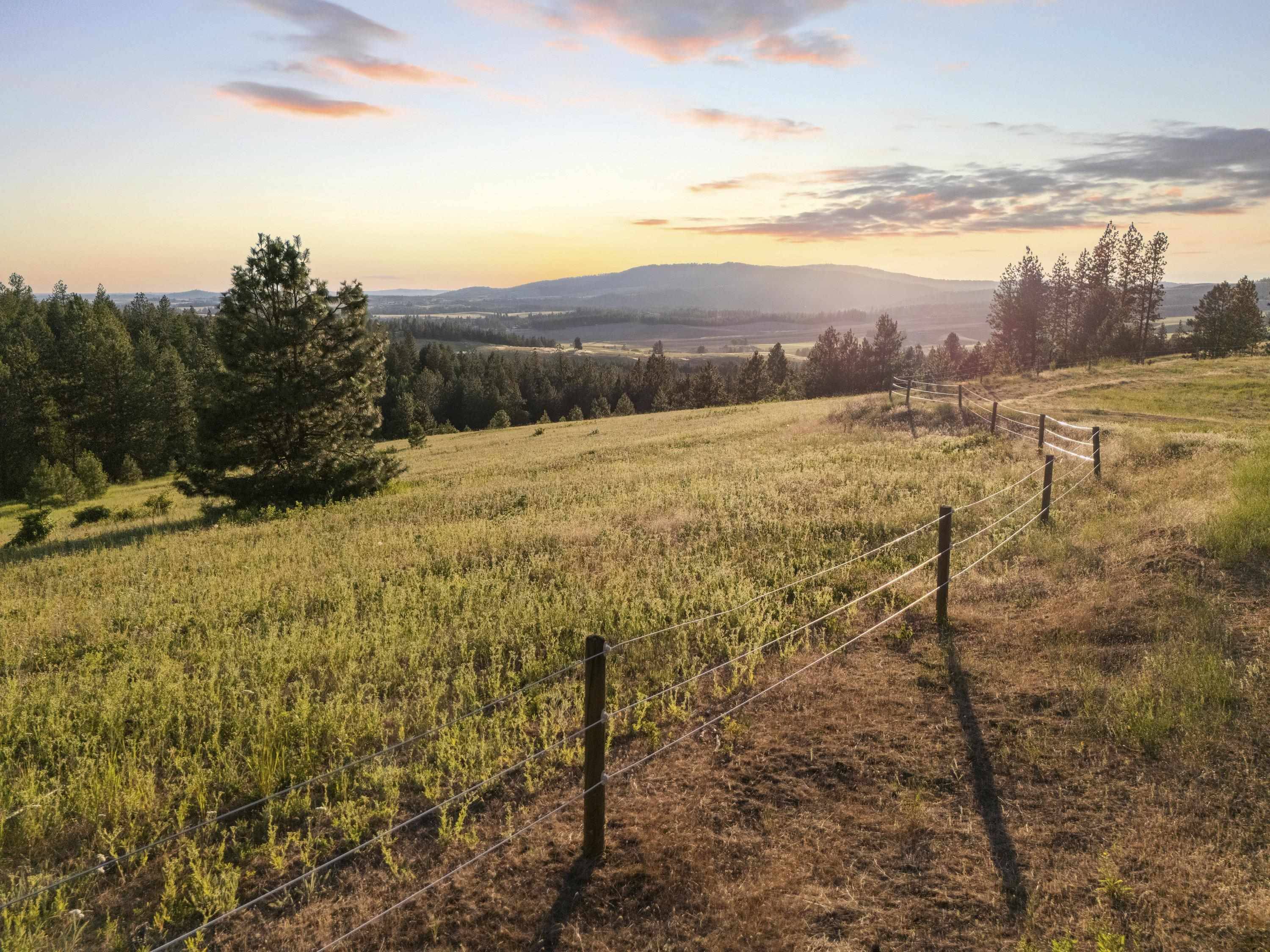 10718 S Mica Vista Ln, Mica, WA 99023
