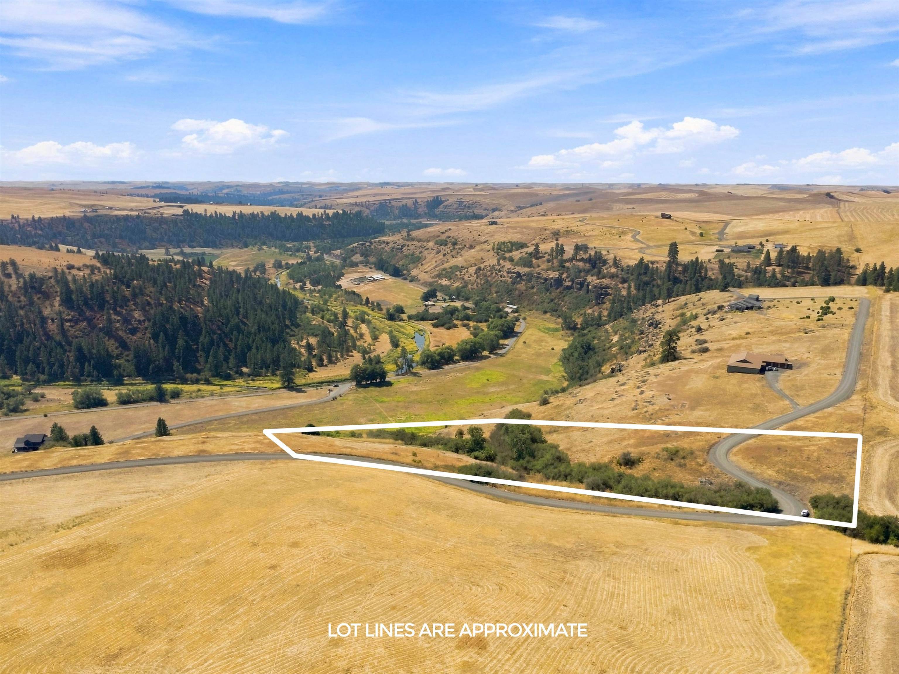 8 Acre Lot Red Tail Ridge Rd, Colfax, WA 99111