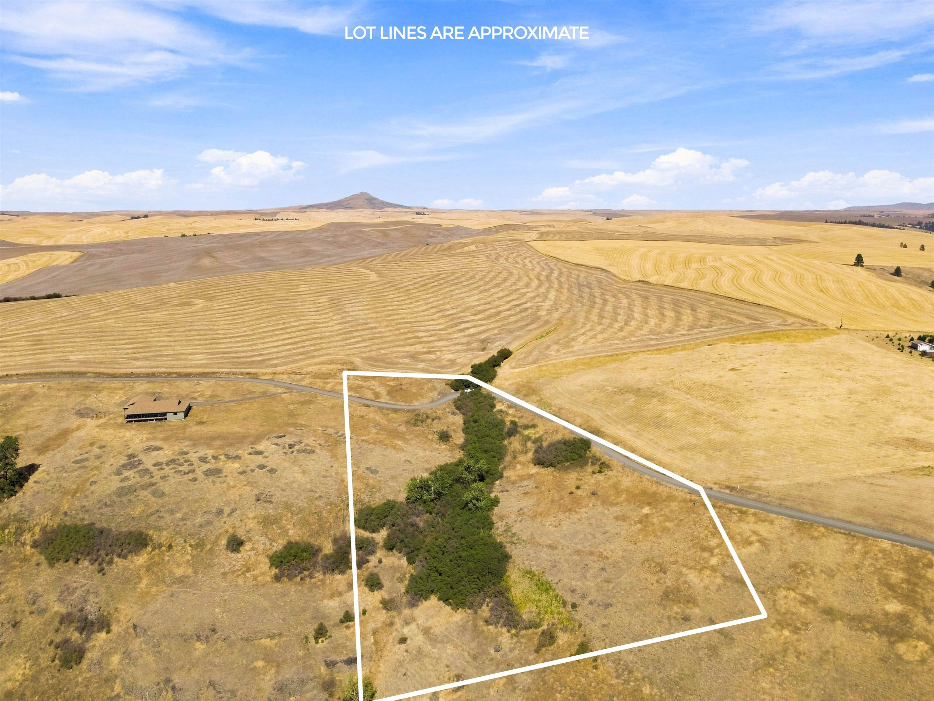 8 Acre Lot Red Tail Ridge Rd, Colfax, WA 99111