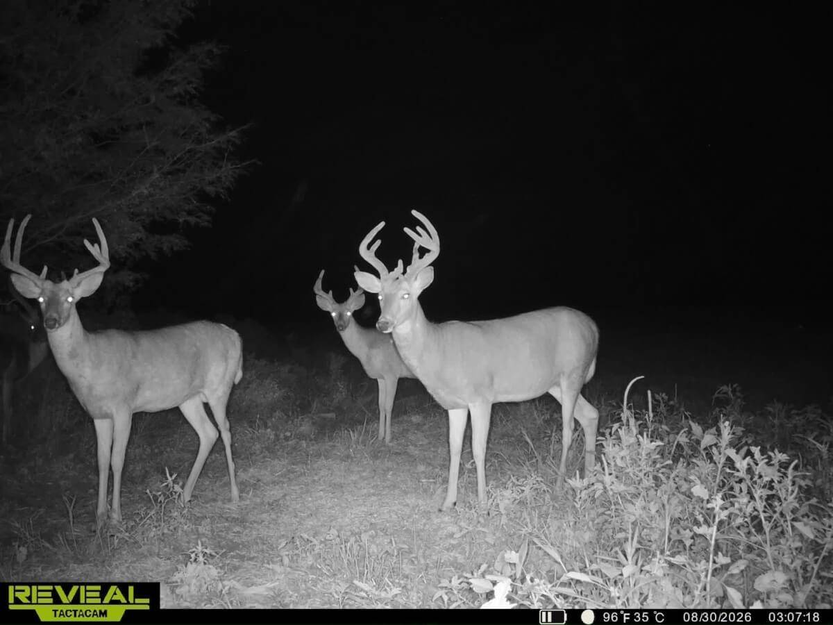 000 SE 20TH ST, Rosalia, KS 67132