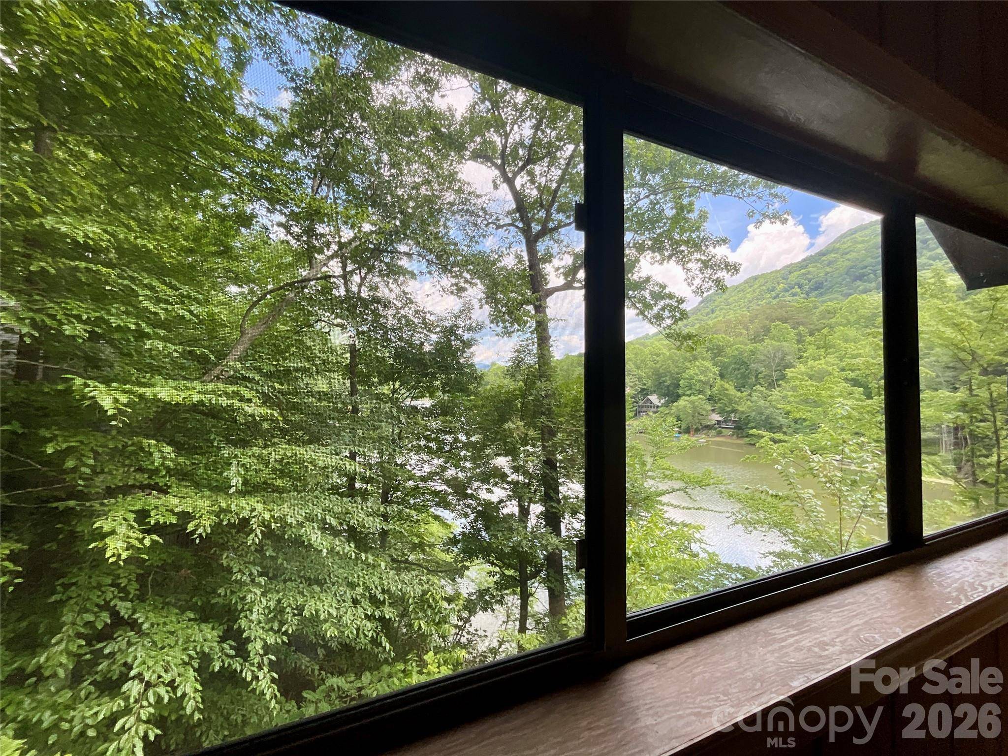 222 West Lake DR N, Lake Lure, NC 28746